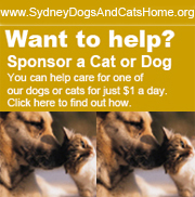 AhCat Dog Walker - proud supporter of Sydney Dogs & Cats Home