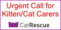 AhCat professional pet sitter - proud supporter of Cat Rescue