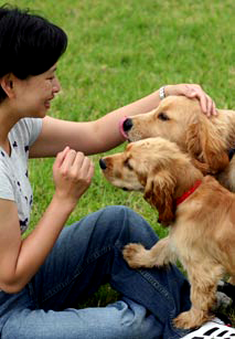 Luca+Pedro+AhCat - dog walking session your pooch look forward to.