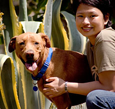 AhCat + Mango. Give Your Dogs Lots of Fun and Exercise!